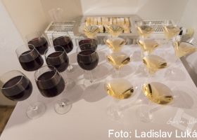_D755978.jpg
